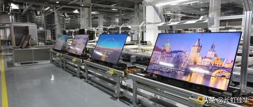 賦能未來 雙月新興能源技術研發的新活力